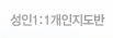 성인1:1개인지도반